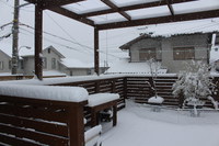またまた大雪(-_-;) 2014/02/14 09:58:33