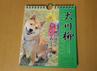 犬川柳カレンダー 2014/01/11 08:00:00