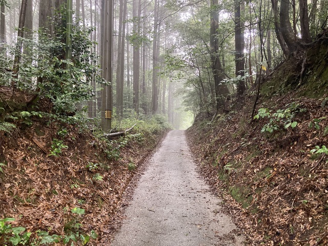 意外と思い出深かった鏡川