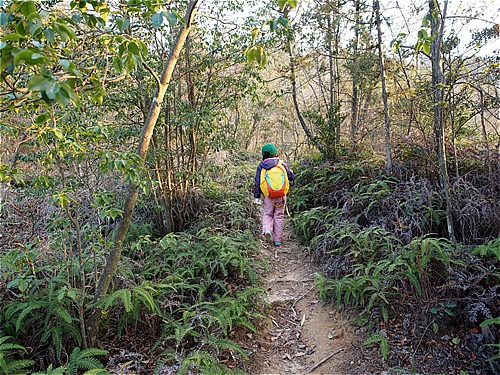 キャンプにいこう Yo 低山ハイクの山探し トレッキング準備