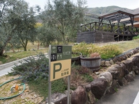 松潤のオリーブオイル井上誠耕園！☆カフェ忠左衛門