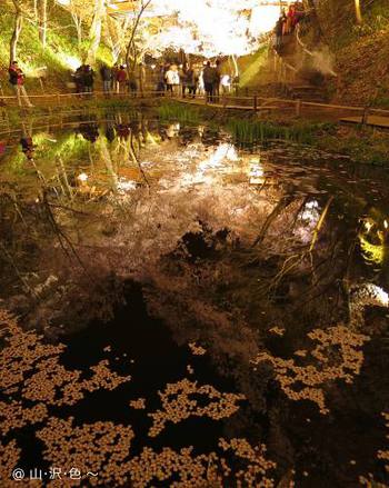 2014 高遠の夜桜