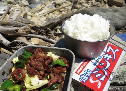 遠山のジンギスカン丼