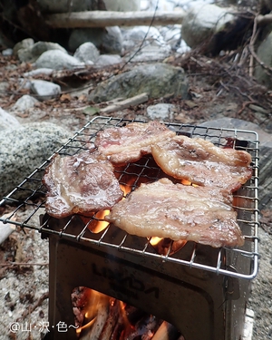 夏渓に散る