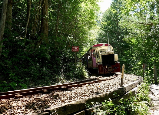 山 沢 色 赤沢森林鉄道