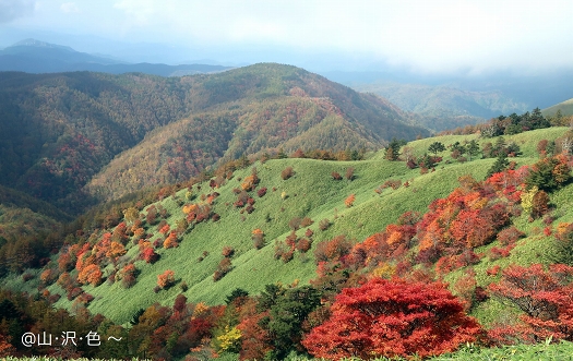 紅い羊と山ランチ