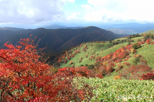 紅い羊と山ランチ