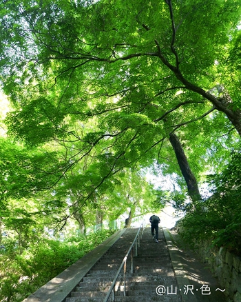 2020 続Green Days