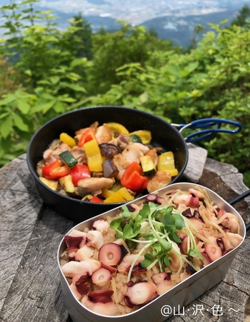 タコ飯と夏野菜炒め