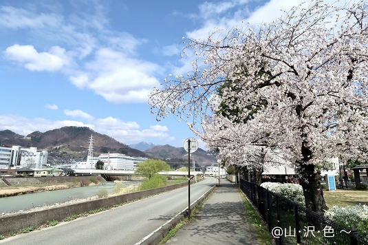 4月 裾花公園にて
