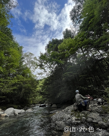 Fさんの おもひで沢