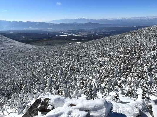 北八ヶ岳 縞枯山