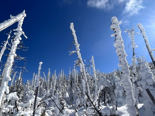 北八ヶ岳 縞枯山