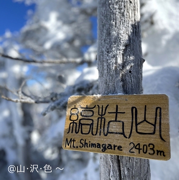 北八ヶ岳 縞枯山