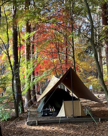 紅葉キャンプ ながた自然公園