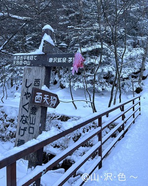 2024 八ヶ岳連峰 天狗岳