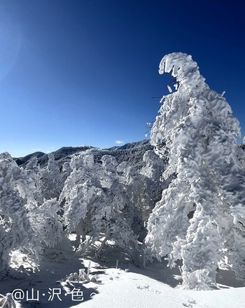 樹氷と雪のモンスター