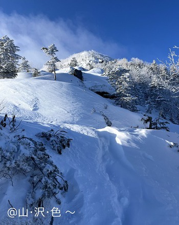 厳冬期 中央アルプス 麦草岳