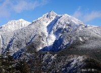 八ヶ岳連峰 ギボシ