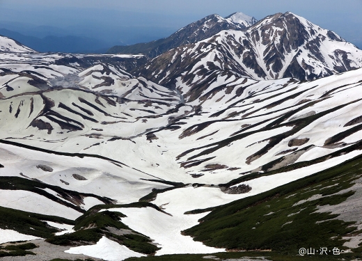 立山室堂・ペア雷鳥 （前編）