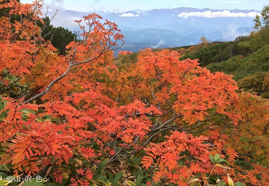 2018 木曽御嶽山の紅葉