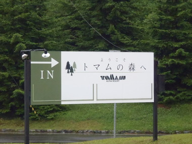 リゾート