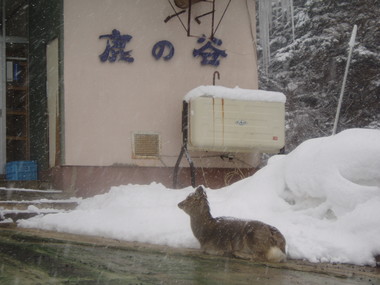 かくかく　しかしか