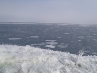 流氷って二階建て住宅くらいのが流れてくるんだと思ってた