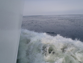 流氷って二階建て住宅くらいのが流れてくるんだと思ってた