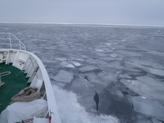 流氷って二階建て住宅くらいのが流れてくるんだと思ってた