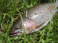 8ｄａｙｓ 2012/08/03 18:40:12