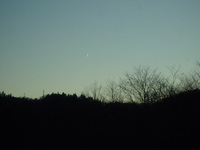謎の〇〇ＵＦＯなのだ