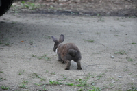 清流キャンプ　IN 石鎚　ファイナル