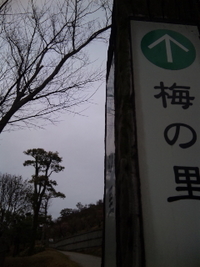 ストキャンの朝