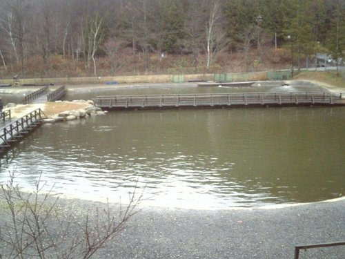 友釣り in 「平谷湖FS」その1