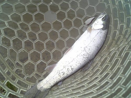巻きで釣りたい！ in 「瑞浪FP」　その３