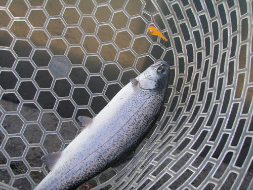 「北方ます釣り場」 PAL日和？  その２