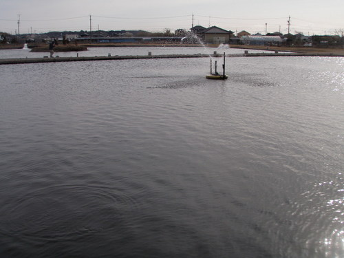 また×2　癒されたのか？ in 「浜名湖FR」　その２