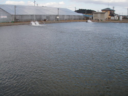 また×2　癒されたのか？ in 「浜名湖FR」　その３