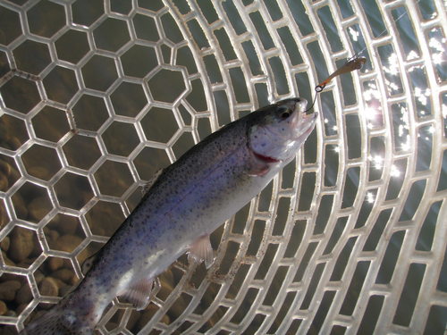 「北方ます釣り場」 おっと意外に！ 最終話