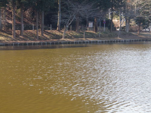 「東山湖FA」 何気にお初です  　その３
