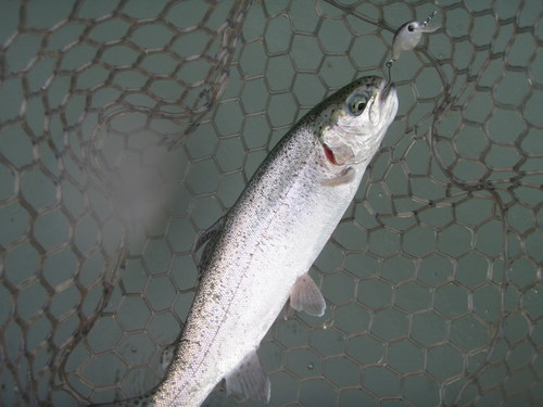 ｢サンクチュアリ」釣行は三苦の日？　その４