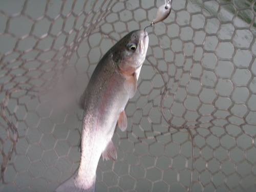 ｢サンクチュアリ」釣行は三苦の日？　その４