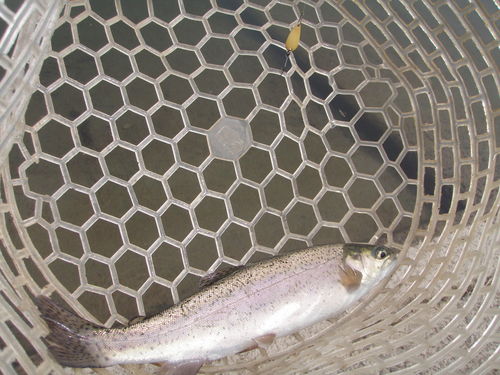 「北方ます釣り場」こんな展開？  その２