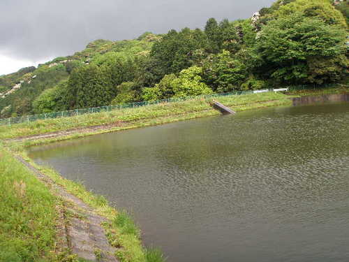 近所の野池へ