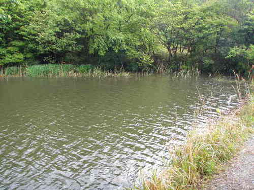 近所の野池へ