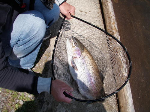 ★大集合★友釣り in 「平谷湖FS」　その２