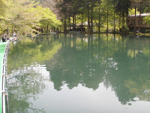 「醒ヶ井養魚場」 初釣行　  その２