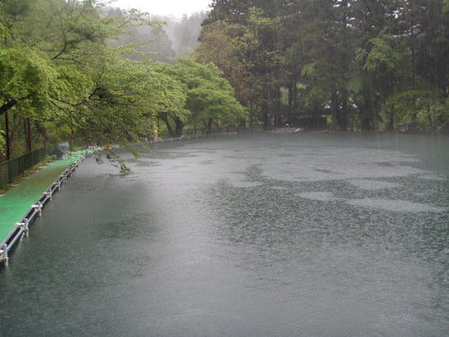 「醒ヶ井養鱒場」 雨の日の午後  その１