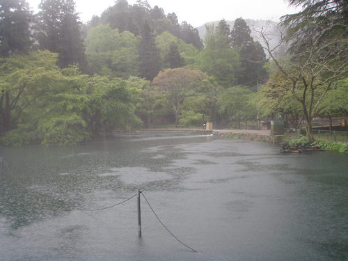 「醒ヶ井養鱒場」 雨の日の午後  その１